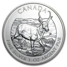 Load image into Gallery viewer, 2013 Canada 1 oz Silver Wildlife Series Pronghorn Antelope