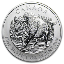 Load image into Gallery viewer, 2013 Canada 1 oz Silver Wildlife Series Wood Bison