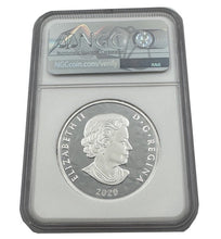 Load image into Gallery viewer, 2022 Canada 1 oz Silver Multifaceted Grizzly Bear Coin NGC PF69 | Zion Metals
