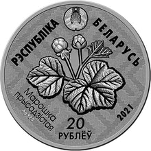 Load image into Gallery viewer, 2021 Belarus Animal Reserve Yelnya - Black and White Loon Silver Coin | Zion Metals