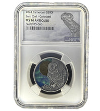 Load image into Gallery viewer, 2024 Republic of Cameroon 1/2 oz Northern Lights Barn Owl Antique Silver Coin NGC MS70