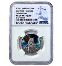 Load image into Gallery viewer, 2024 Republic of Cameroon 1/2 oz Northern Lights Wolf Antique Silver Coin NGC MS70- Zion Metals