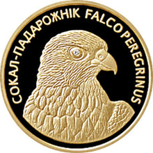 Load image into Gallery viewer, 2006 Belarus Peregrine Falcon 1/4 oz Proof Gold Coin 50 Rubles | Zion Metals