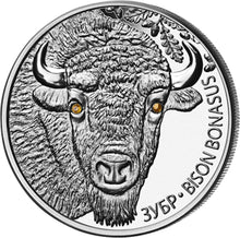 Load image into Gallery viewer, 2012 Belarus Bison Environmental Protection Series Silver Coin | Zion Metals