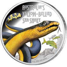 Load image into Gallery viewer, 2013 Deadly and Dangerous - Yellow-Bellied Sea Snake 1oz Silver Proof Coin | Zion Metals