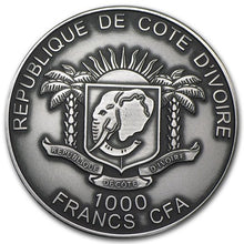 Load image into Gallery viewer, 2013 Ivory Coast 1 oz Silver Black Panther | Zion Metals