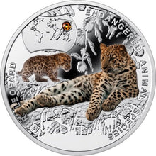 Load image into Gallery viewer, 2014 Niue Amur Leopard Endangered Animal Species 1/2 oz Proof Silver Coin | Zion Metals