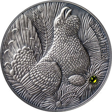 Load image into Gallery viewer, 2014 Andorra Wood Grouse - Atlas of Wildlife Antique Finish Silver Coin | Zion Metals
