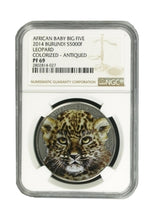Load image into Gallery viewer, 2014 Burundi Baby Leopard "African Baby Big Five" series Colored High Relief Silver coin NGC PF69 | Zion Metals
