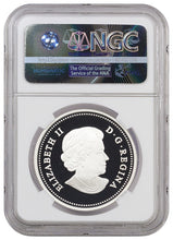 Load image into Gallery viewer, 2015 Canada Story of the Northern Lights - Raven 1 oz Silver Hologram Proof $20 NGC PF69 UC Early Release | Zion Metals
