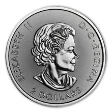 Load image into Gallery viewer, 2018 Canadian Polar Bear 1/2 oz BU | Zion Metals