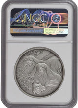 Load image into Gallery viewer, 2018 China Lunar Panda Dog Silver Antique Shenyang Mint NGC 70 | Zion Metals