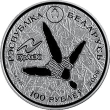 Load image into Gallery viewer, 2009 Belarus Environment Protection Series - The White Stork Silver Coin - Zion Metals
