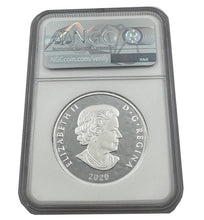 Load image into Gallery viewer, 2022 Canada 1 oz Silver Multifaceted Grizzly Bear Coin NGC PF69 - Zion Metals
