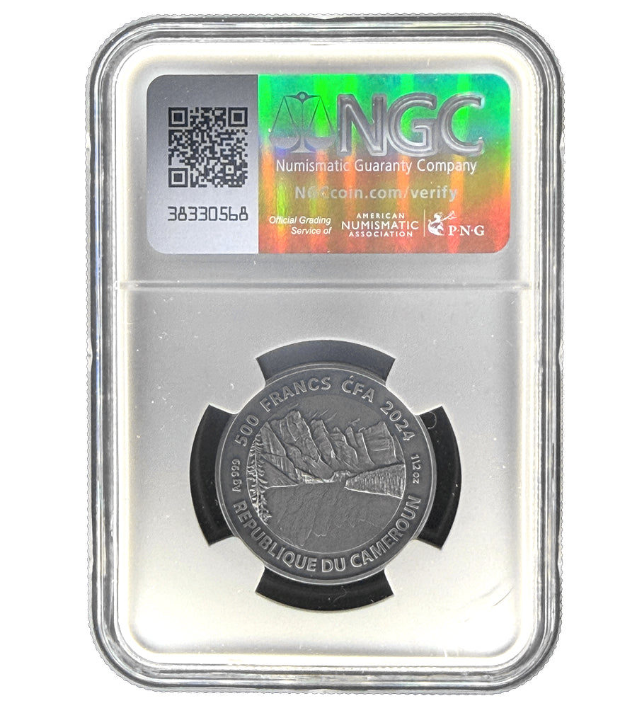 2024 Republic of Cameroon 1/2 oz Northern Lights Wolf Antique