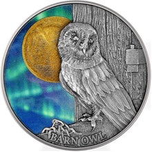 Load image into Gallery viewer, 2024 Republic of Cameroon 1/2 oz Northern Lights Barn Owl Antique Silver Coin
