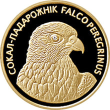 Load image into Gallery viewer, 2006 Belarus Peregrine Falcon 1/4 oz Proof Gold Coin 50 Rubles - Zion Metals
