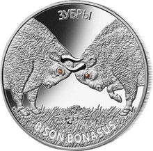 Load image into Gallery viewer, 2012 Belarus BISON BONASUS Bisons Proof Silver Coin - Zion Metals
