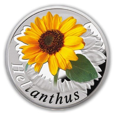 2013 Belarus Under the Charm of Flowers Helianthus Silver Coin-ZM
