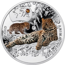 Load image into Gallery viewer, 2014 Niue Amur Leopard Endangered Animal Species 1/2 oz Proof Silver Coin - Zion Metals
