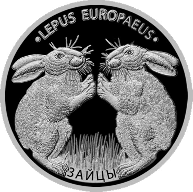 2014 Belarus LEPUS EUROPAEUS HARES Rabbits Proof Finish Silver Coin | ZM | Zion Metals