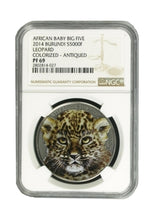 Load image into Gallery viewer, 2014 Burundi Baby Leopard &quot;African Baby Big Five&quot; series Colored High Relief Silver coin NGC PF69 - ZM
