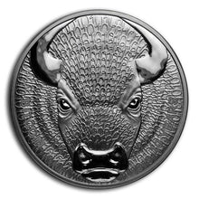 Load image into Gallery viewer, 2019 1 oz Silver Sol Noctis Binary Bull Proof Coin | ZM | Zion Metals
